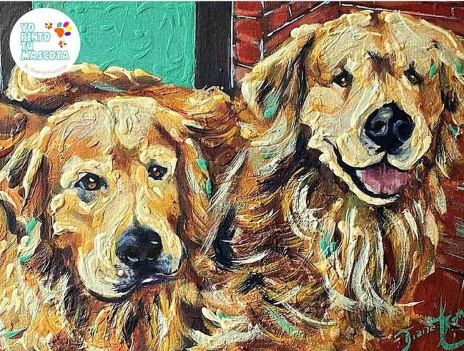 Retratos de mascotas por Diana Francia  golden retriever