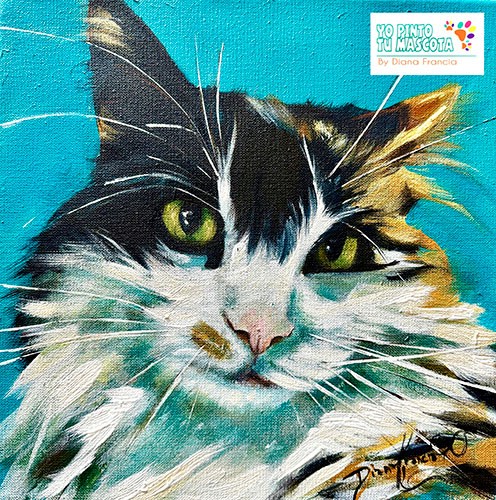 retratos de gatos de mascotas a mano por diana francia