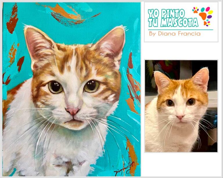 Retrato artístico de gato atigrado pintado a mano por Diana Francia, comparación de foto a pintura