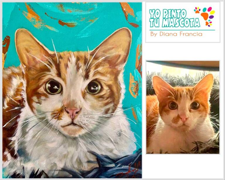 Retrato personalizado de gato blanco pintado a mano por Diana Francia, comparación de foto a obra de arte