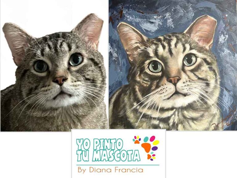 Gatos pintados a mano por Art Diana Francia Yo pinto tu mascota
