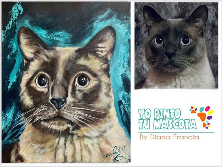 retratos de gatos a mano Art Diana Francia Yo pinto tu mascota (2)