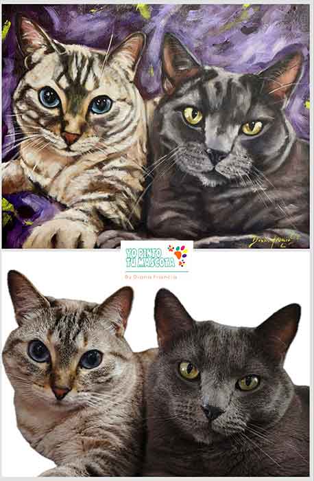 comparacion de foto a pintura de Retrato personalizado de dos gatos pintado a mano por Diana Francia