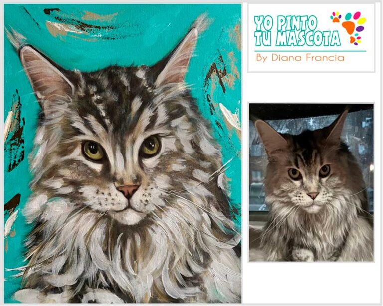 Retrato artístico de gato gris pintado a mano, personalizado por Diana Francia, comparación de foto a pintura