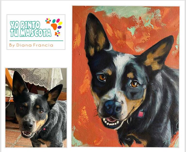 Retratos de mascotas colombia perritos negro por Diana Francia