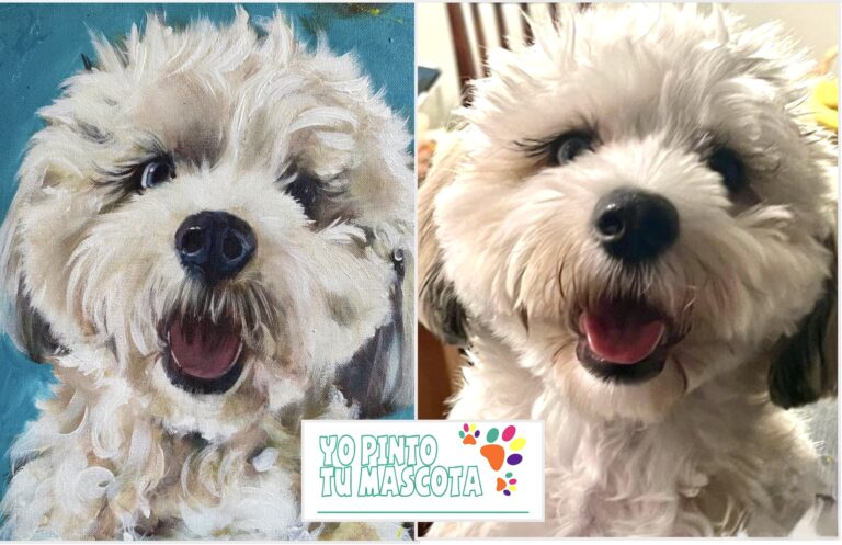 Comparación entre fotografía y retrato artístico de un perro por Diana Francia