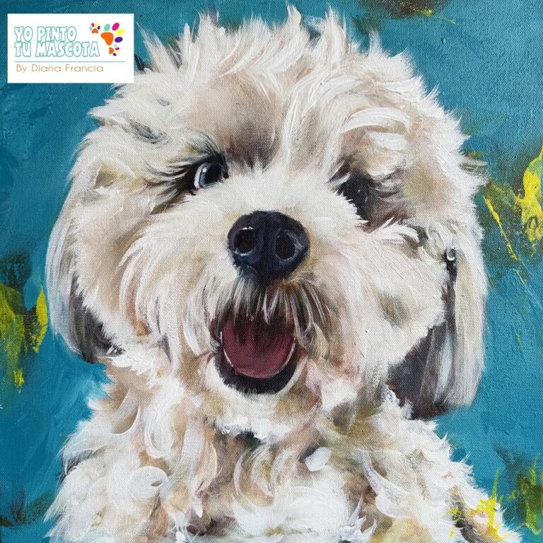 Retratos de mascotas colombia por Diana Francia