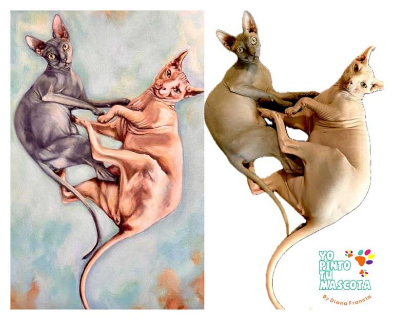 retratos de gatos personalizados