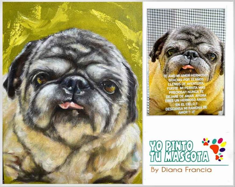 retratos de mascotas colombia por art diana francia yo pinto tu mascota